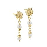 Aqua Dulce - Clover Pearl Earstud - Forgylt Sølv (925)
