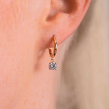 SF Spark Øreringer i Forgylt Sølv med Zirkonia - Pan Jewelry