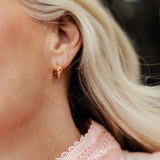 Rosa Creol - Janne Formoe