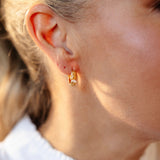 Aud øredobber - Janne Formoe