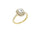 Lab-diamant rosettring smaragdslipt 1,00 ct F/VS – 9K gult gull