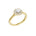 Lab-diamant rosettring 0,75 ct F/VS – 9K gult gull