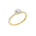 Lab-diamant rosettring med pavé 0,50 ct F/VS – 9K gult gull