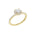 Lab-diamant rosettring med pavé 1,00 ct F/VS – 9K gult gull