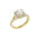 Lab-diamant dobbel rosettring med pavé 1,24 ct F/VS – 9K gult gull