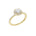 Lab-diamant rosettring med pavé 1,25 ct F/VS – 9K gult gull
