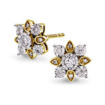 Diamant øredobber 14kt gult gull Rosettstjerne 0.25ct TW Si - Diamanthuset